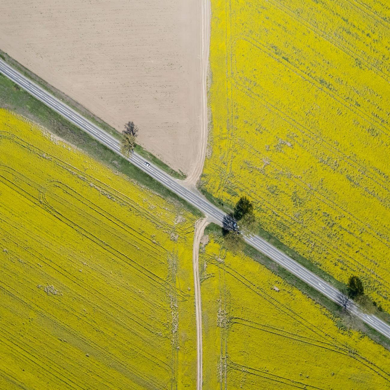 Competition: Creative storytelling contest